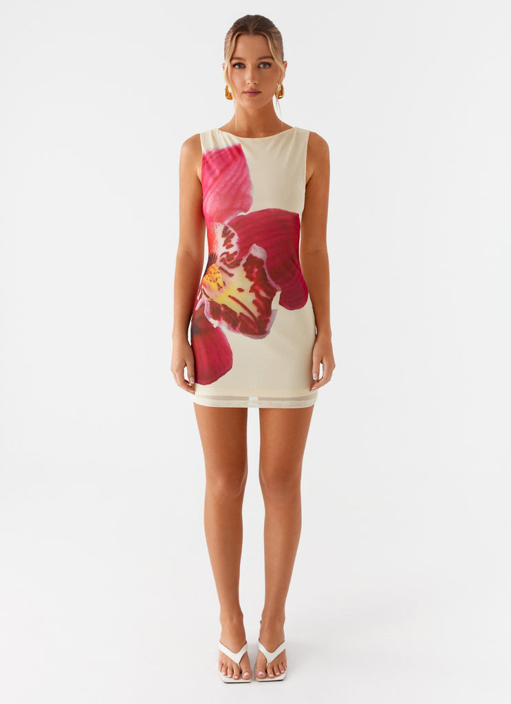 P&R Arizona Kleid